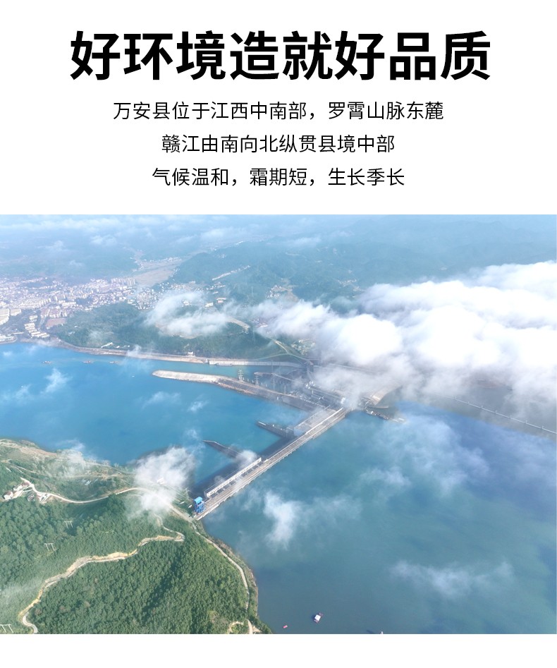 和萬安|生態農業|有機食品|綠色食品|稻田共養