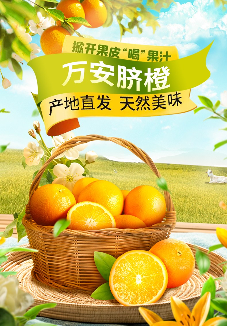 和萬安|生態農業|有機食品|綠色食品|稻田共養