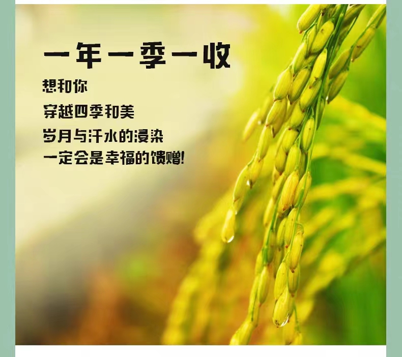 和萬安|生態(tài)農(nóng)業(yè)|有機(jī)食品|綠色食品|稻田共養(yǎng)