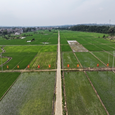 禾天下基地直播-剡溪9